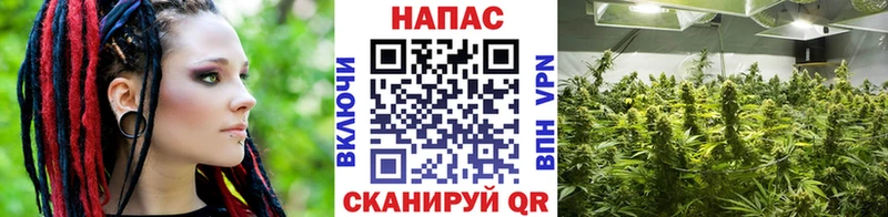 Где купить наркотики Невельск Гашиш Марихуана Cocaine A-PVP Мефедрон